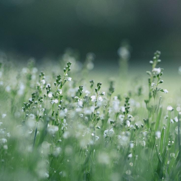 Protected areas overview